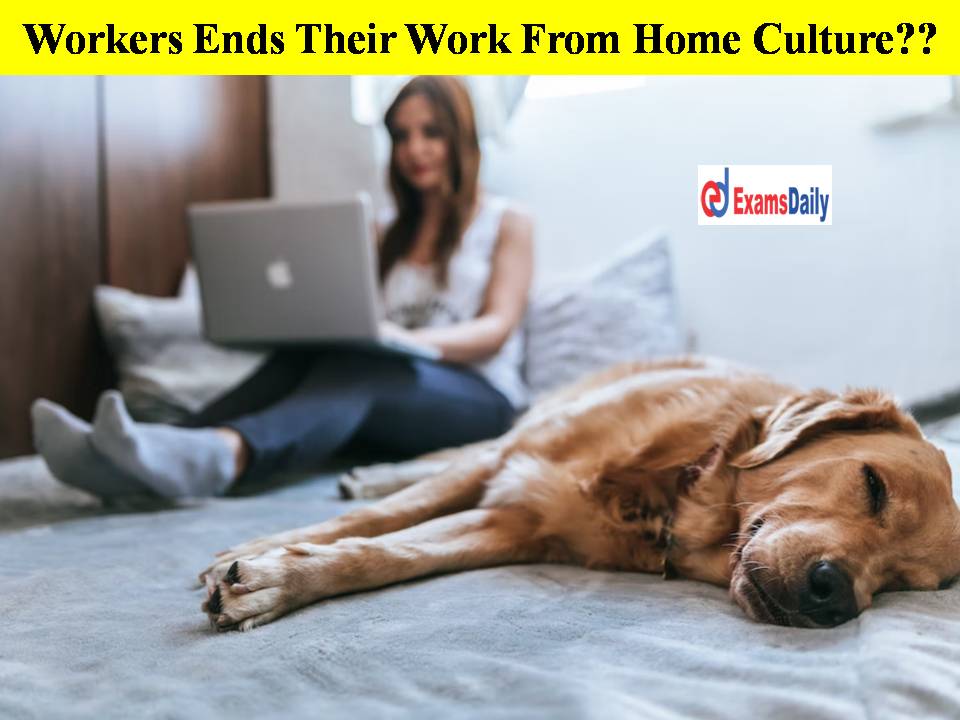 Workers Ends Their Work From Home Culture Offices Are Ready To Fill!!