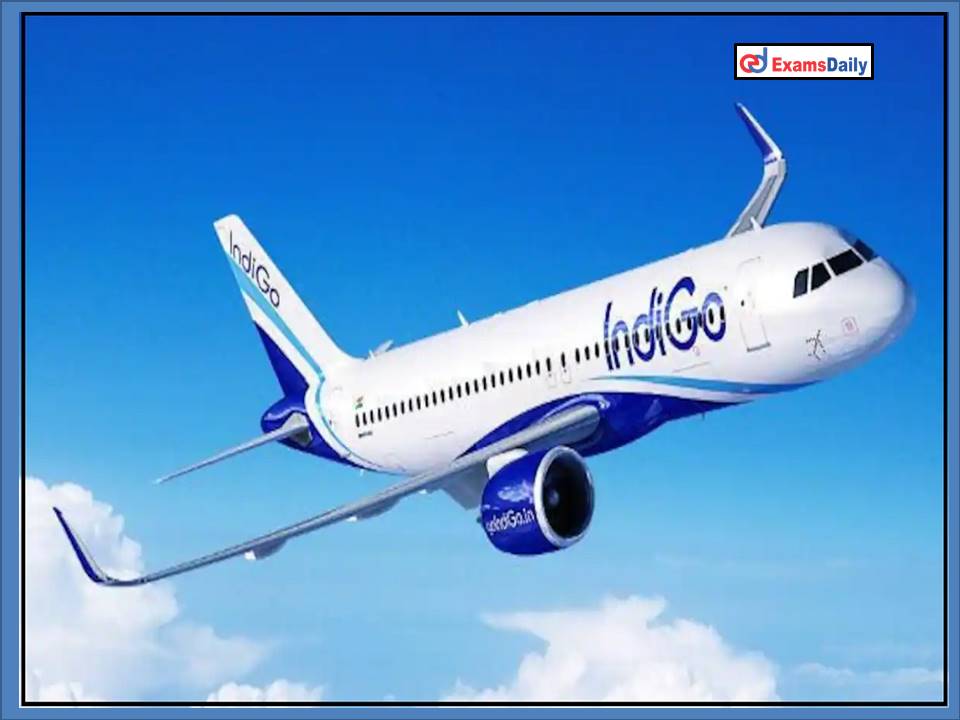 INDIGO Airlines Recruitment 2022