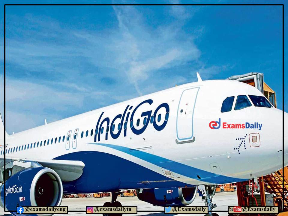 Indigo Airlines Recruitment 2022 OUT – MS Office and Communication Skills Needed!!!
