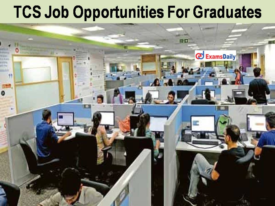 TCS Job Opportunities For Graduates