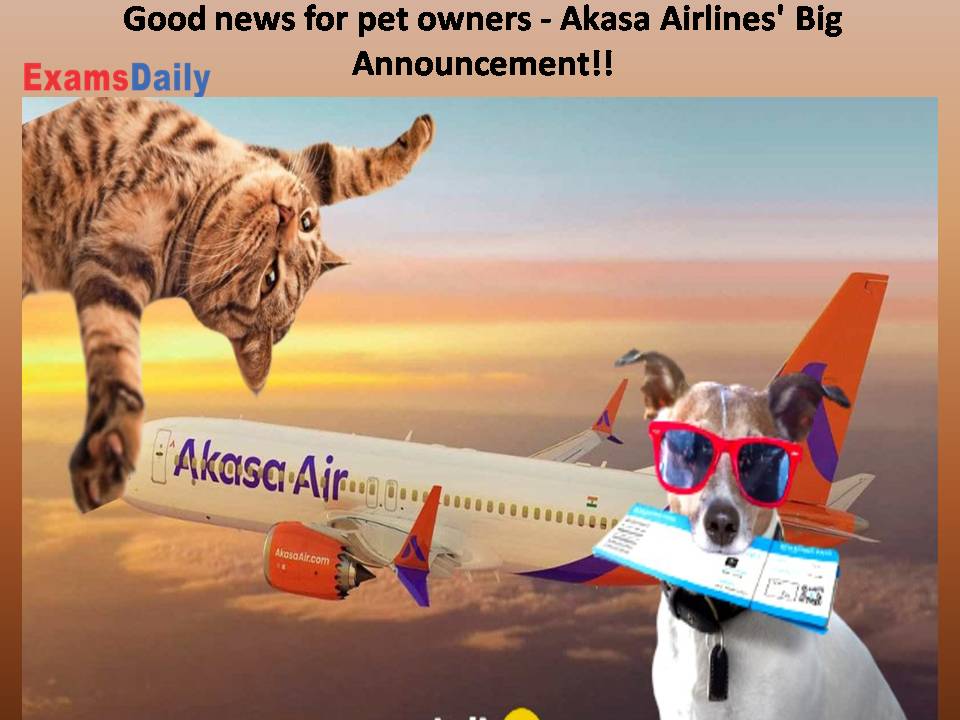 Good news for pet owners - Akasa Airlines