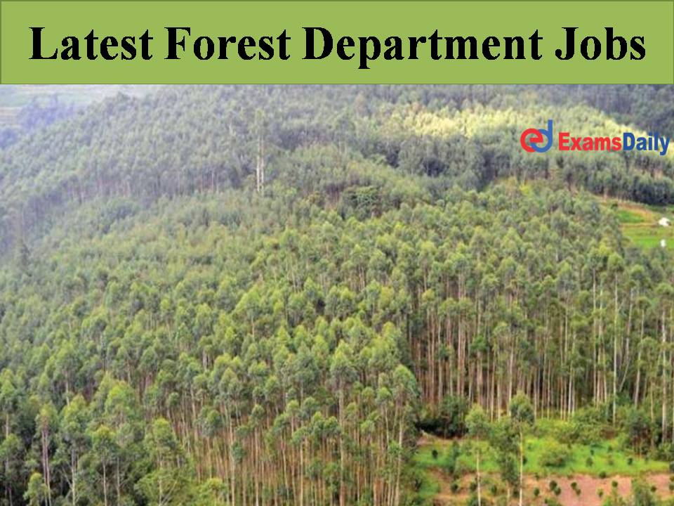 Latest Forest Department Jobs