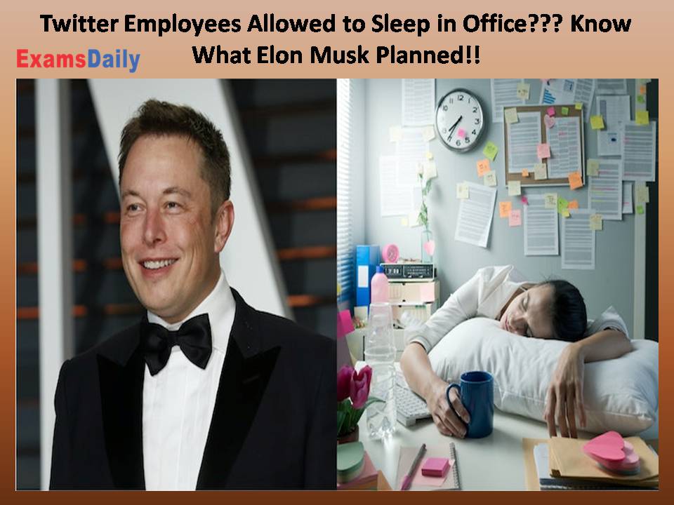 Twitter Employees Allowed to Sleep in Office