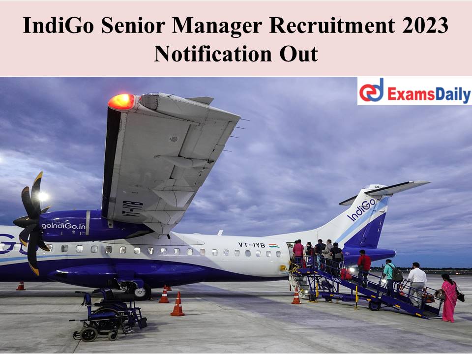 IndiGo Senior Manager Recruitment 2023 Notification Out