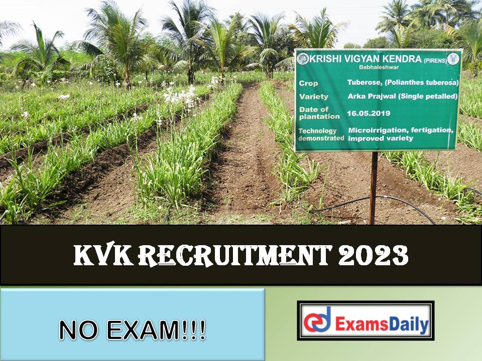 KVK Recruitment 2023 Out – Salary up to Rs-1, 31,400 Download Application Form!!!