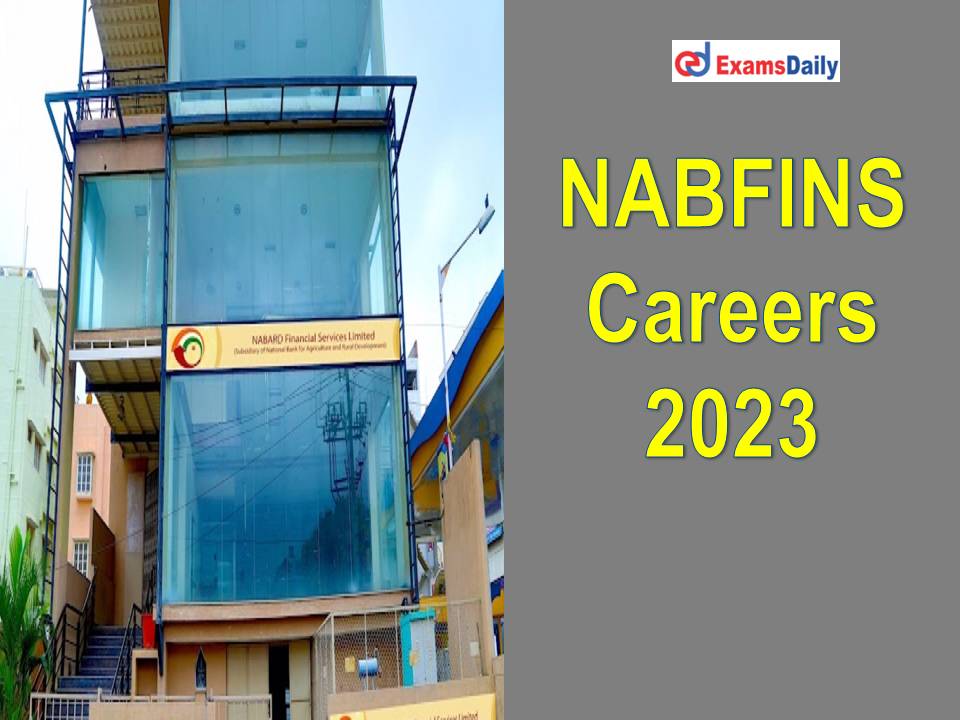 NABFINS Careers 2023