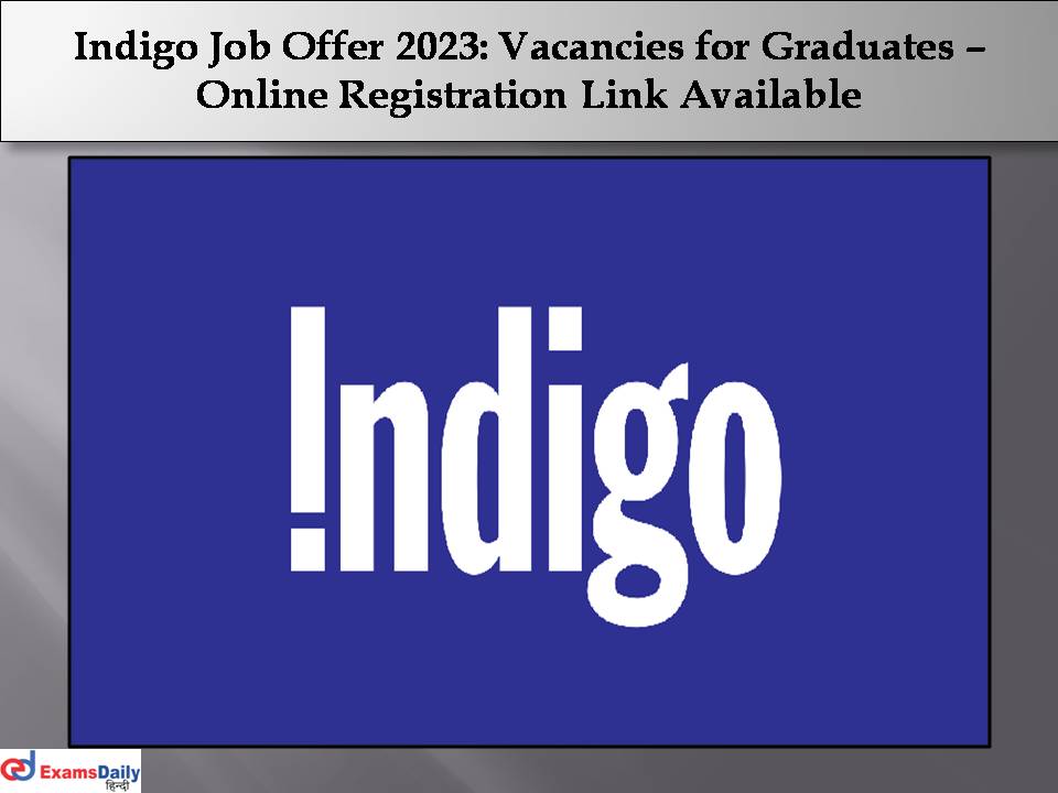 Indigo Job Offer 2023