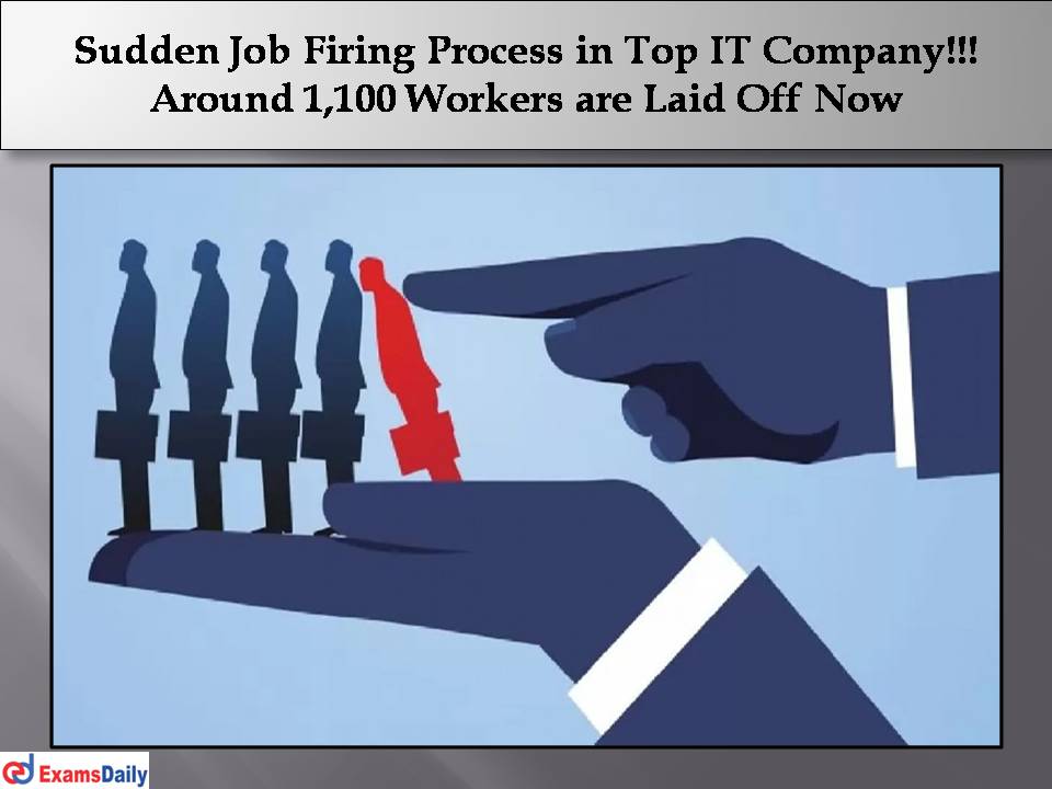 Sudden Job Firing Process in Top IT Company