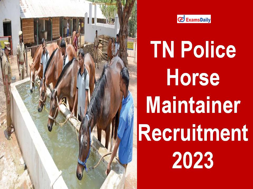 TN Police Horse Maintainer Recruitment 2023 Out - Salary Rs.50000/- PM!!!