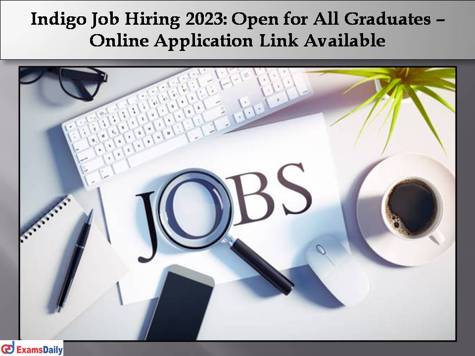Indigo Job Hiring 2023