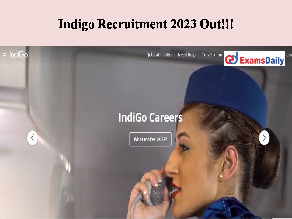 Indigo Recruitment 2023 Out